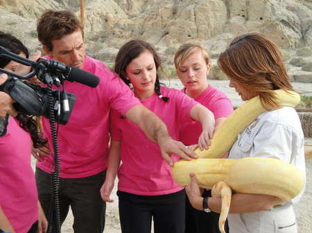 Web series for Reveille...Producers of "The Office" and "Biggest Loser." I did Pink teams MU/ Hair